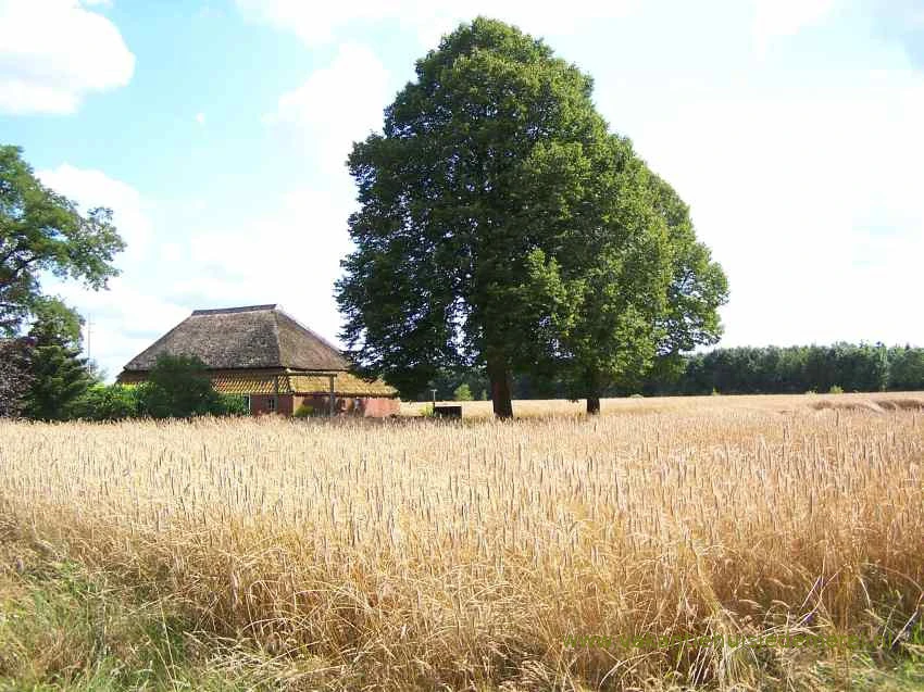 dorp Langelo